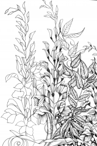 Gallery - Creative Coloring Course